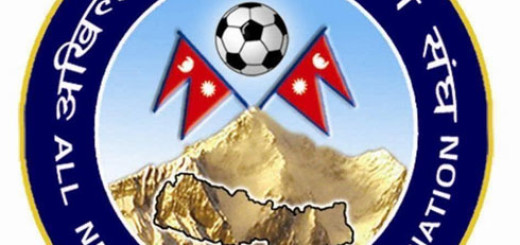 ANFA logo